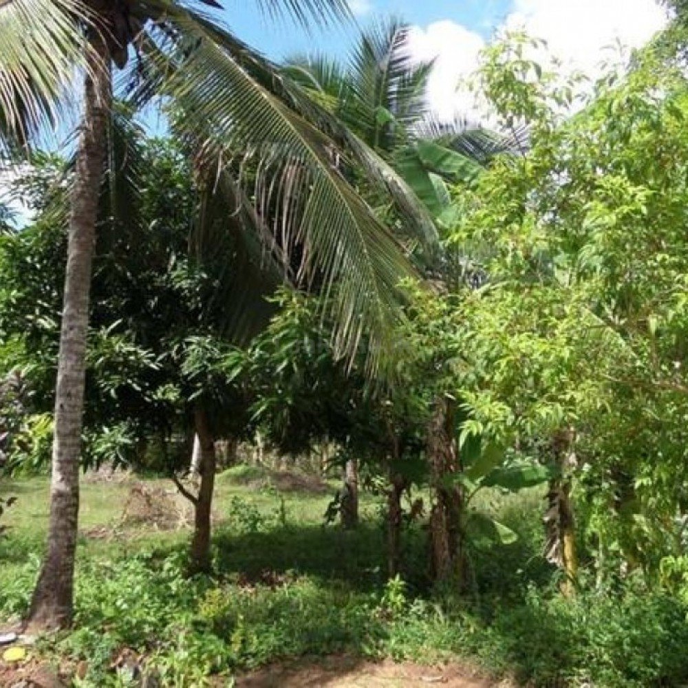 Commercial land for sale, Embilipitiya