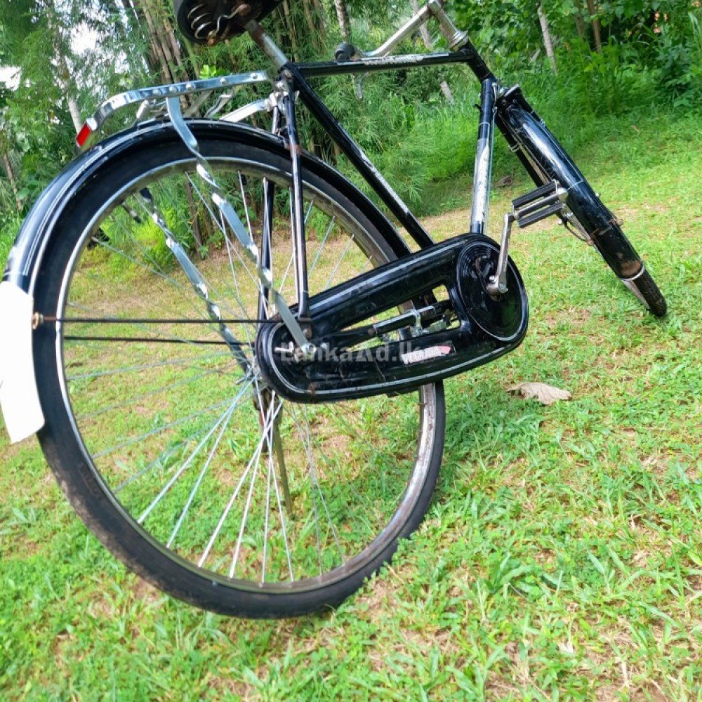 lumala cycle 29 inch