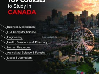 Study & Work In Canada