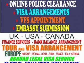 Visa consulting service