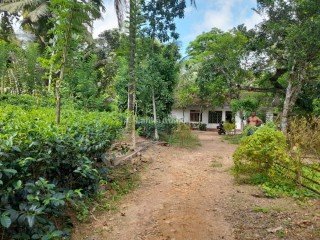 Land With House For Sale